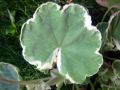 2010 05 24 jeanmarcperfetti.com 032.JPG